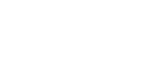 Blu Wing Security